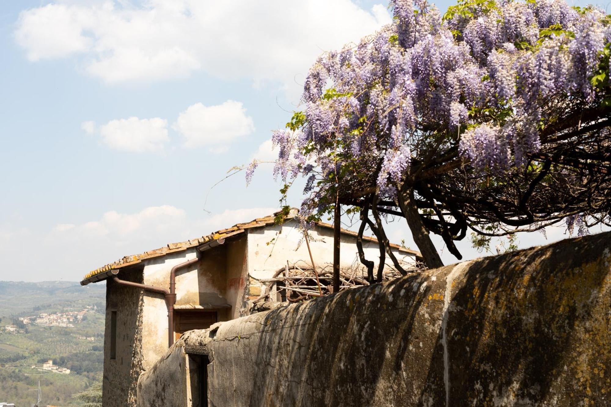 B&B Le Cannelle Fiesole Dış mekan fotoğraf