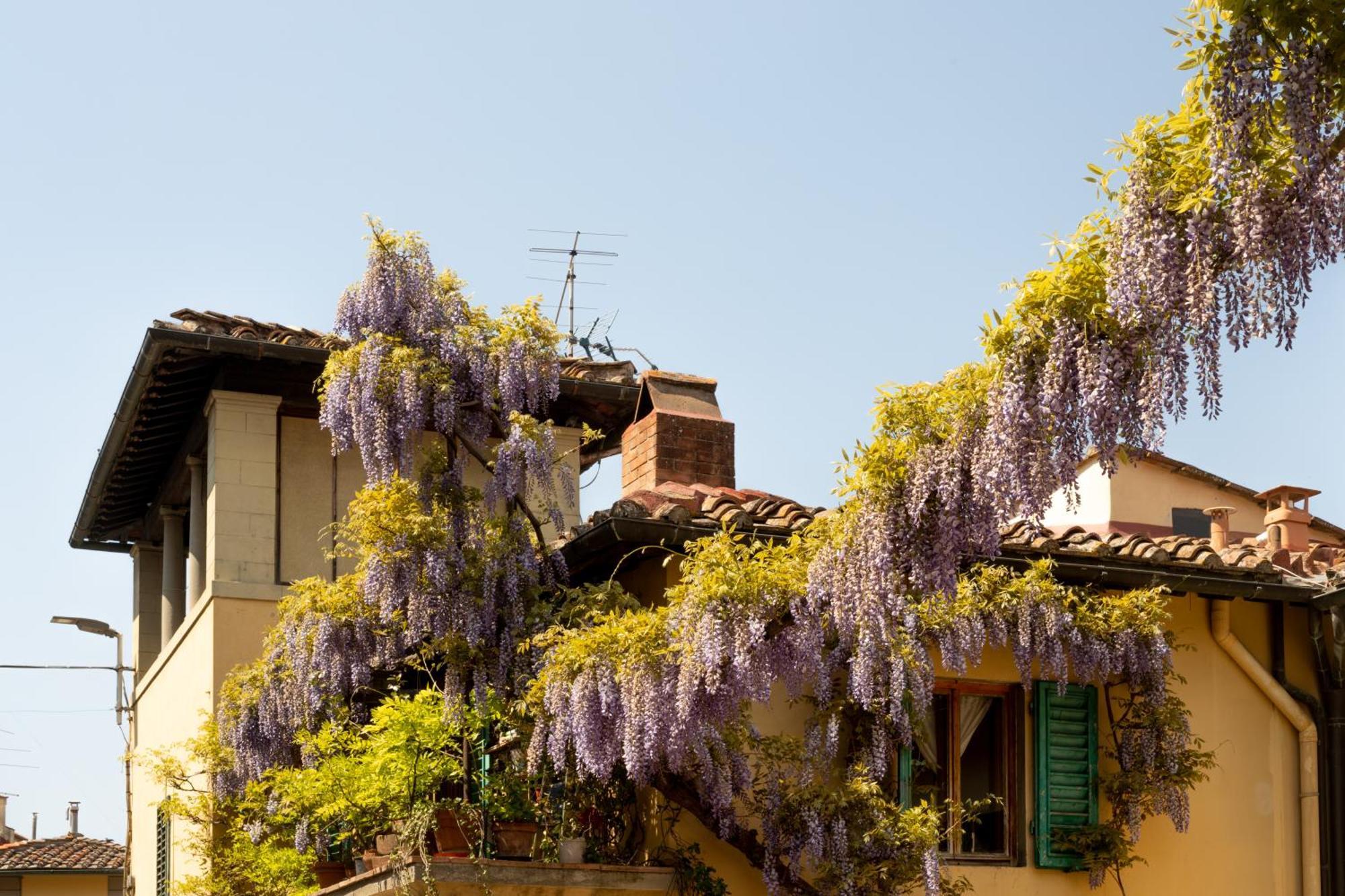 B&B Le Cannelle Fiesole Dış mekan fotoğraf